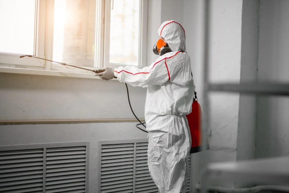 Professional mold remediation services in Washington Grove, MD